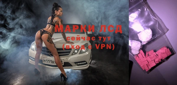 сатива Приозерск