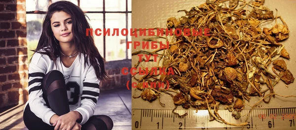 сатива Приозерск