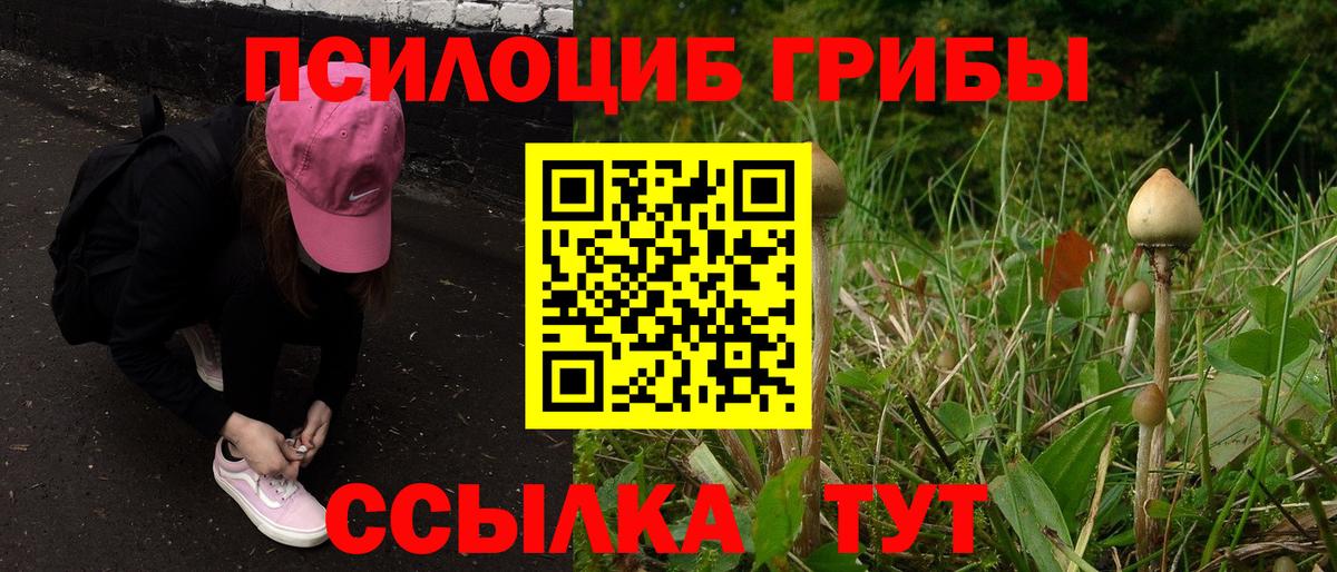 Галлюциногенные грибы мухоморы Верхняя Салда