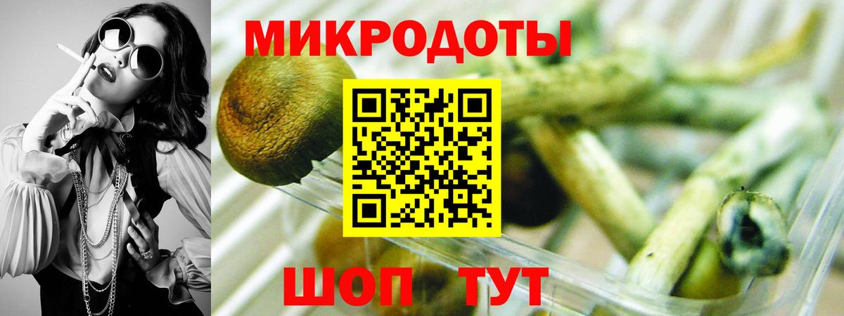 Галлюциногенные грибы Cubensis  Верхняя Салда 